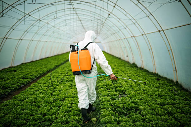 Best Affordable Pest Control Services  in Montgomery, TX
