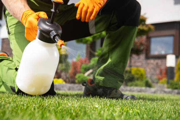 Best Local Pest Control Services  in Montgomery, TX