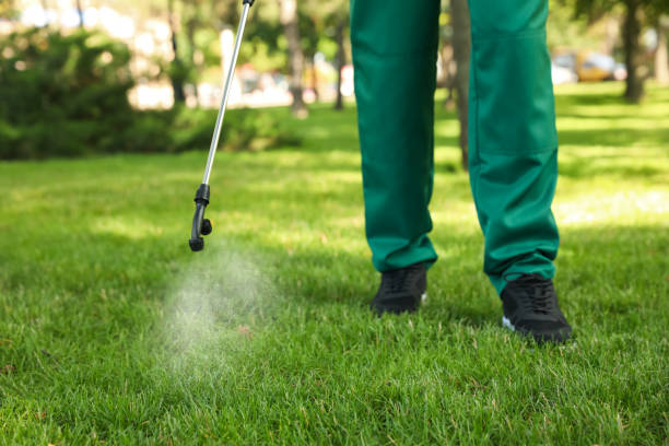 Best Pest Inspection Near Me  in Montgomery, TX