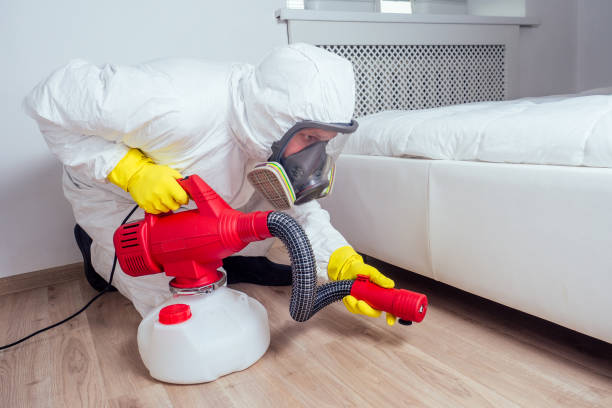 Best Pest Removal Services  in Montgomery, TX