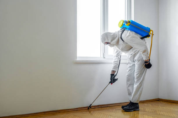 Best Pest Removal Services  in Montgomery, TX
