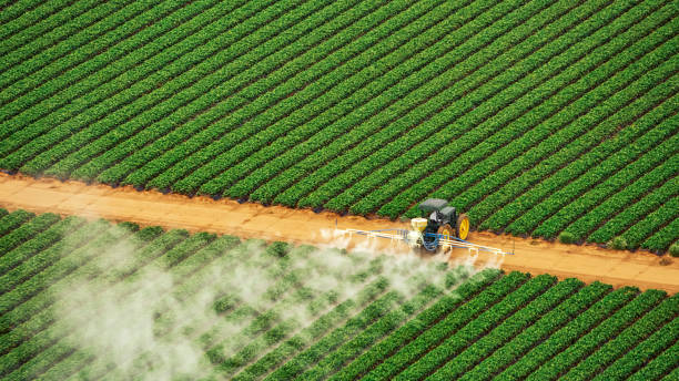 Pest Control Cost in Montgomery, TX