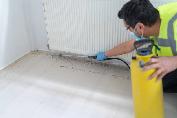 Best Pest Control Near Me  in Montgomery, TX