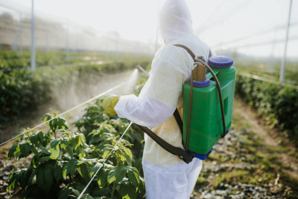 Best Affordable Pest Control Services  in Montgomery, TX